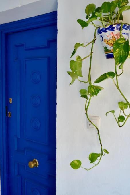 Apartamento En Sevilla Centro Con Vistas A La Plaza Alameda De Hercules - Hasta 6 Personas Eksteriør billede